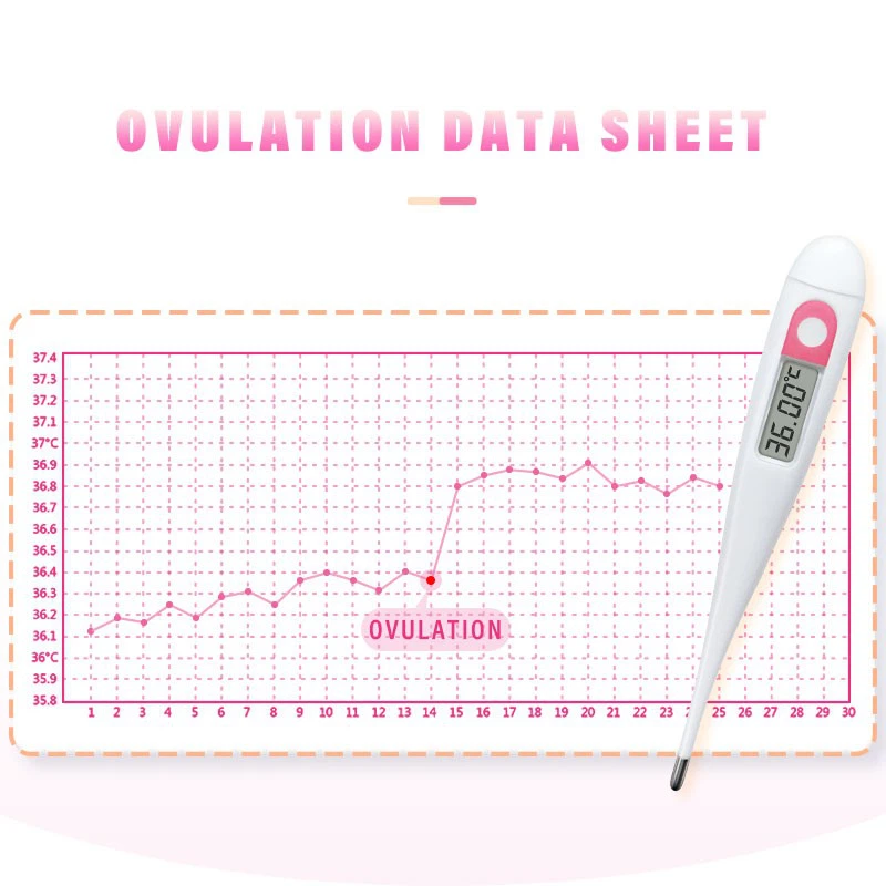 Basal Body Thermometer With Ovulation Strips