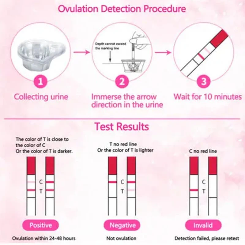 Basal Body Thermometer With Ovulation Strips