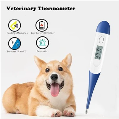 Nhiệt kế thú y