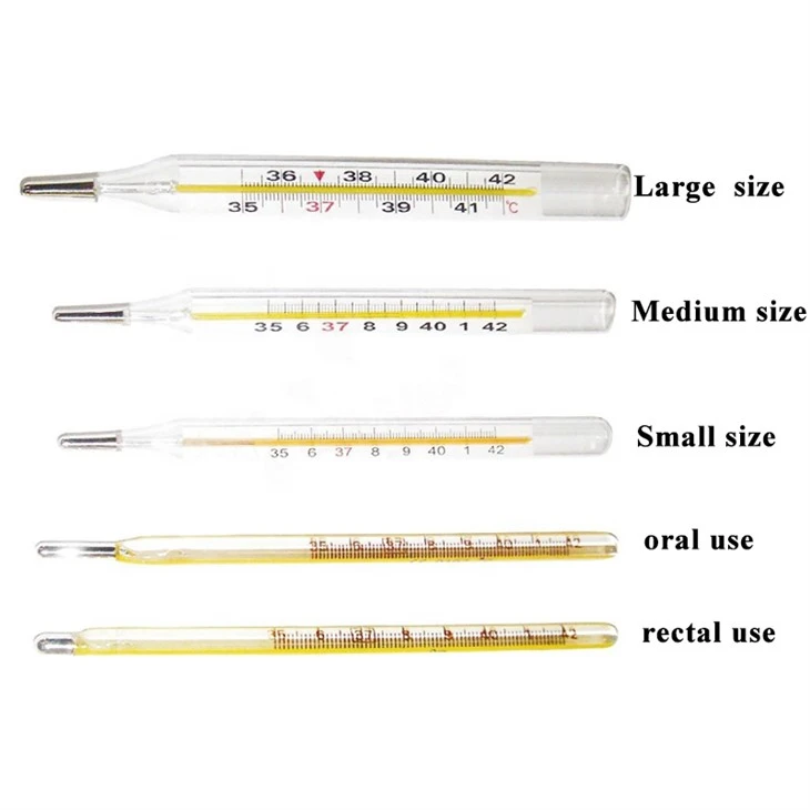 Mercury Thermometer Price